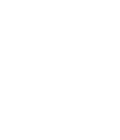 vertical integration